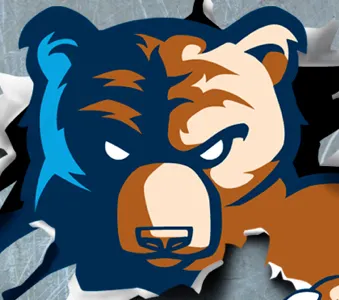 Brody Bruin illustration mascot wallpaper