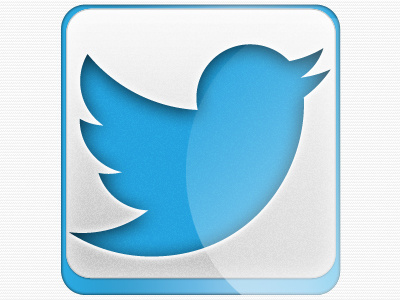 Download New Twitter Button button download new twitter logo twitter