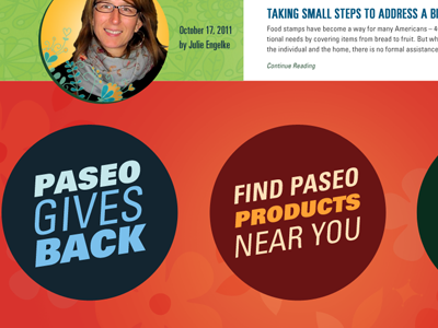Paseo Site Redesign - Option 2 advertising product rejected design option web