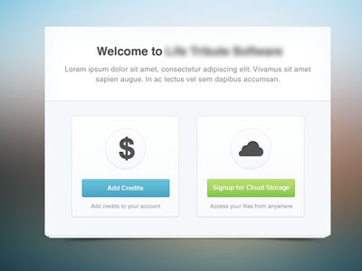 Choose Your Option buttons clean form simple ui