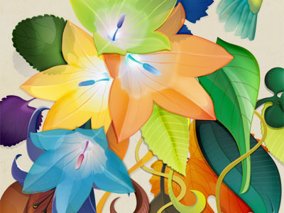 Hummingbird poster colors flowers hummingbird nature poster