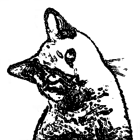 Pooky's Pub. bar cat logo pookers pookys pub pub