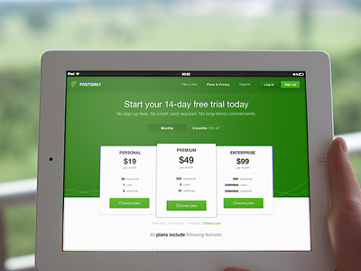 Positionly landing page v3 green landing poland positionly pricing promo page screen