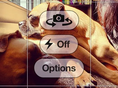 PSD - iPhone on screen camera controls camera flash button free freebie hdr interface ios iphone options button psd switch button