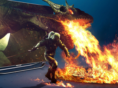 It's Getting Hot In Here... dragon dragons games video games witcher 2