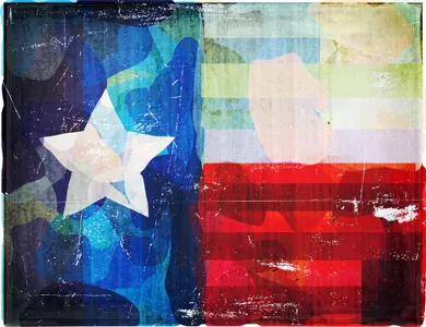 texas! color illustration texas texture