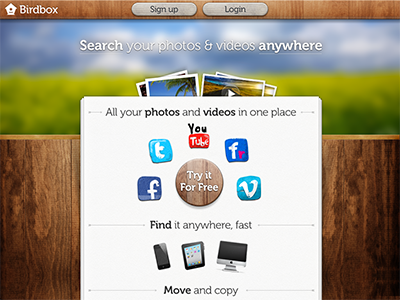 Birdbox paper web wood