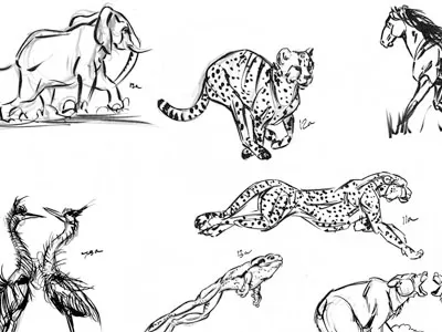 Vertebrate Gesture Sketches round 3 animal brush pen gesture ink pen vertebrate