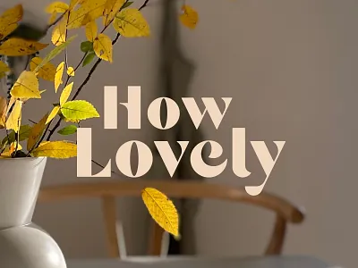 How Lovely Branding brand identity branding custom lettering design illustration interior design lettering ligatures logo logotype type typography ui ux vector