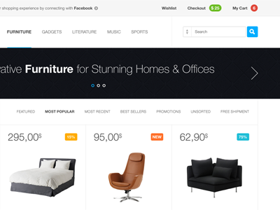 SC clean furniture minimal store