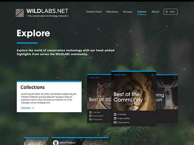 Wildlabs redesign - explore animals design nature ui website wildlife