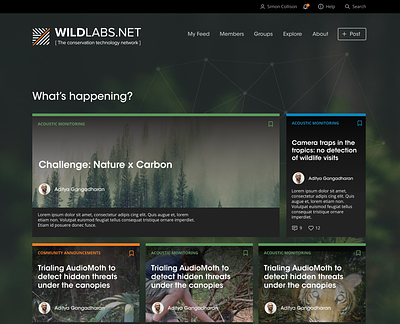 Wildlabs redesign - Home animals card cards design nature news ui website wildlife