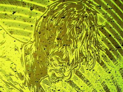 Oliver Ackermann | Dirty Screen a place to bury strangers adobe illustrator death by audio gig poster halftone illustration silkscreen