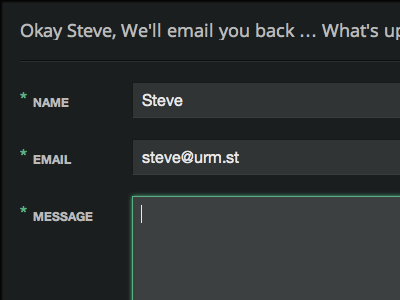 Chatty enquiry form css form interface ui ux