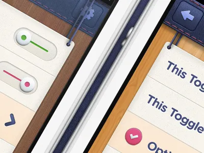iOS iPhone App Modal Options ios iphone modal retina switch texture toggle wood