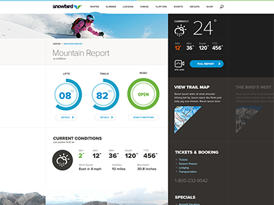 Mtn Report page design interface rally interactive site ui ux web design website
