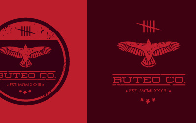 Personal identity branding buteo co. design hawk icon iconography icons identity illustration illustrator logo logo design put a bird on it todd cook typography vector