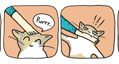 cat attack cat comic strip funny