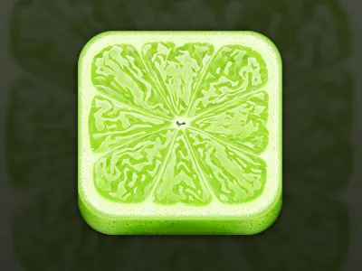 Lime Icon icon ios lime