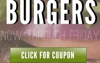 E-mail burgers fat for no reason food photoshop