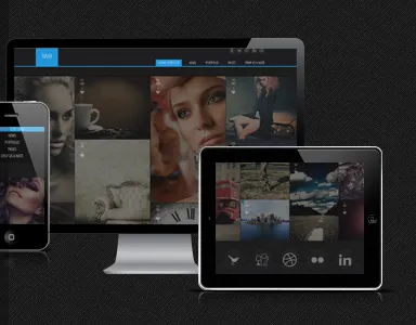 Darx Responsive Portfolio Wordpress Theme grid portfolio portfolio responsive portfolio theme wordpress theme