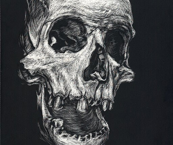 Scratchboard Illustration illustration scratchboard