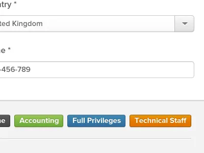 Priviledges buttons priviledges select box tags