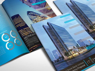 Information Technology Energy Management Business Plan bank brochure blue brochure business plan charts financial graph information graphic proposal