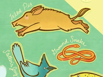 Living California Wildlife Map animals boar california cartography illustration map pig wildlife