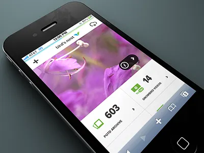 Snowbird Bird's nest design interface mobile rally interactive site ui ux web design website