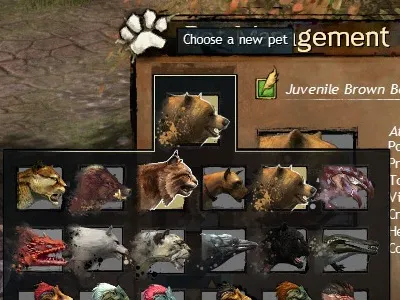 Pet Management Window games graphic design guild wars interactive ui