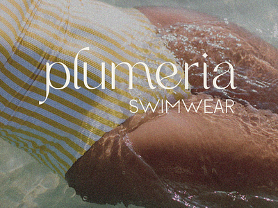 Plumeria - Body Positive Swimwear Company brand and logo design branding and logo design branding design ecommerce brand design graphic design logo design product design swimwear brand design