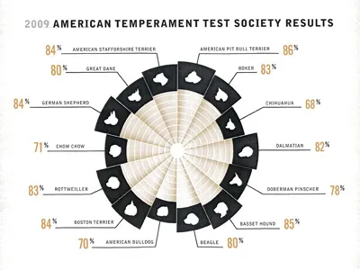 Pit Bull Infographic Complete breeds bull chart dog dogs facts infographic map pit pitbull pitco texture truth