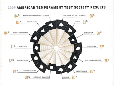 Pit Bull Infographic Complete breeds bull chart dog dogs facts infographic map pit pitbull pitco texture truth