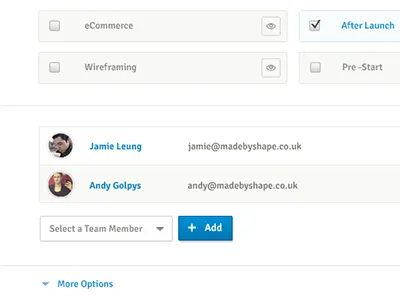 Form & Options button buttons checkbox checkbox group checkboxes drop down filter filters form icons input labels minimal neutral panel panels profile profile photos progress progress bar search select switch team ui user experience user interface ux view views