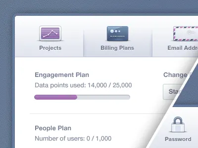 Account Profile UI | Modal Icons account app blue card chart credit card data email gray icons interface lock mix mixpanel modal overlay panel plan popup profile purple ui web
