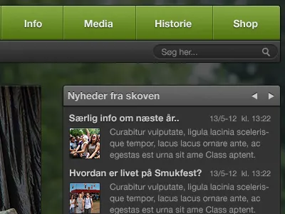 Festival website 2.0 gloss gradient green grey landing landing page modern stroke tech ui web website