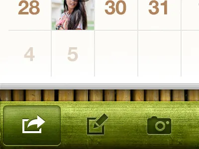 Bamboo theme calendar ios navigation retina texture theme