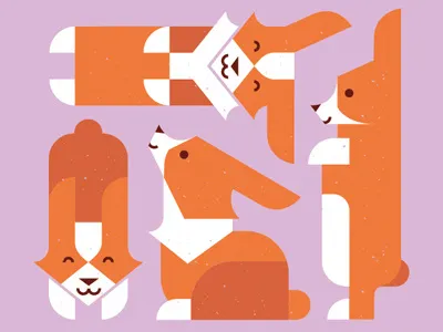 Odin Poses corgi design dog illustration