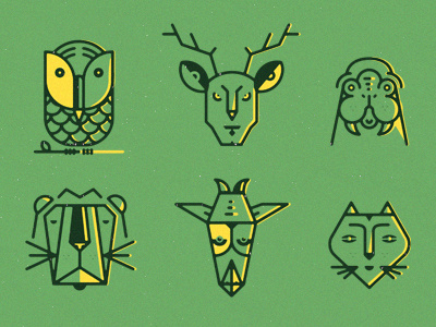 Animals animals fox giraffe lion owl