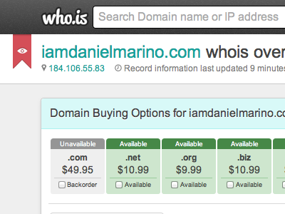 Domain Info Page - Monitoring Domain arial banner data eye flag whois