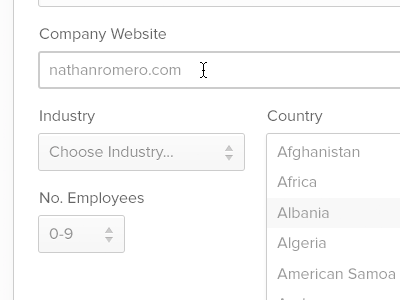I made a form. clean form simple ui