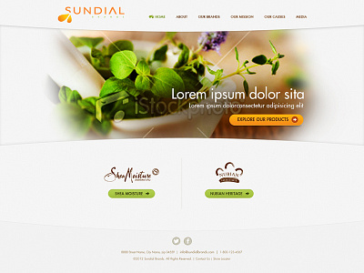 Concept for sundial brands corporate site light ui web design