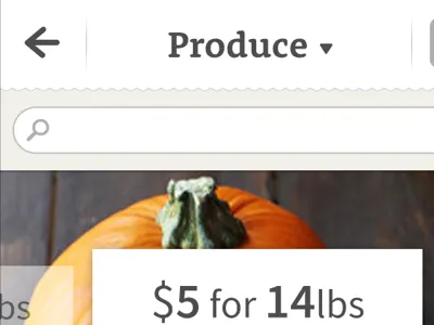 Search Produce back mobile search