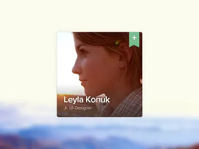 People Widget bio fireworks people playoff