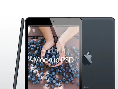 Ipad Mini designer ipad mini resource
