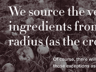 The 25 Mile apples didot duotone proxima nova