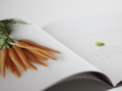 Choux de Bruxelles brochure design editorial print