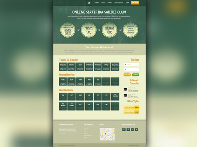Online Tests & Quizzes design green home homepage interface online page quizzes school student test test site tests ui university webdesign yellow