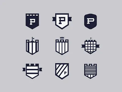 Shields security shield